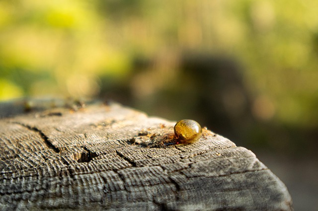 Resin: Unleashing Its Potential Across Diverse Industries